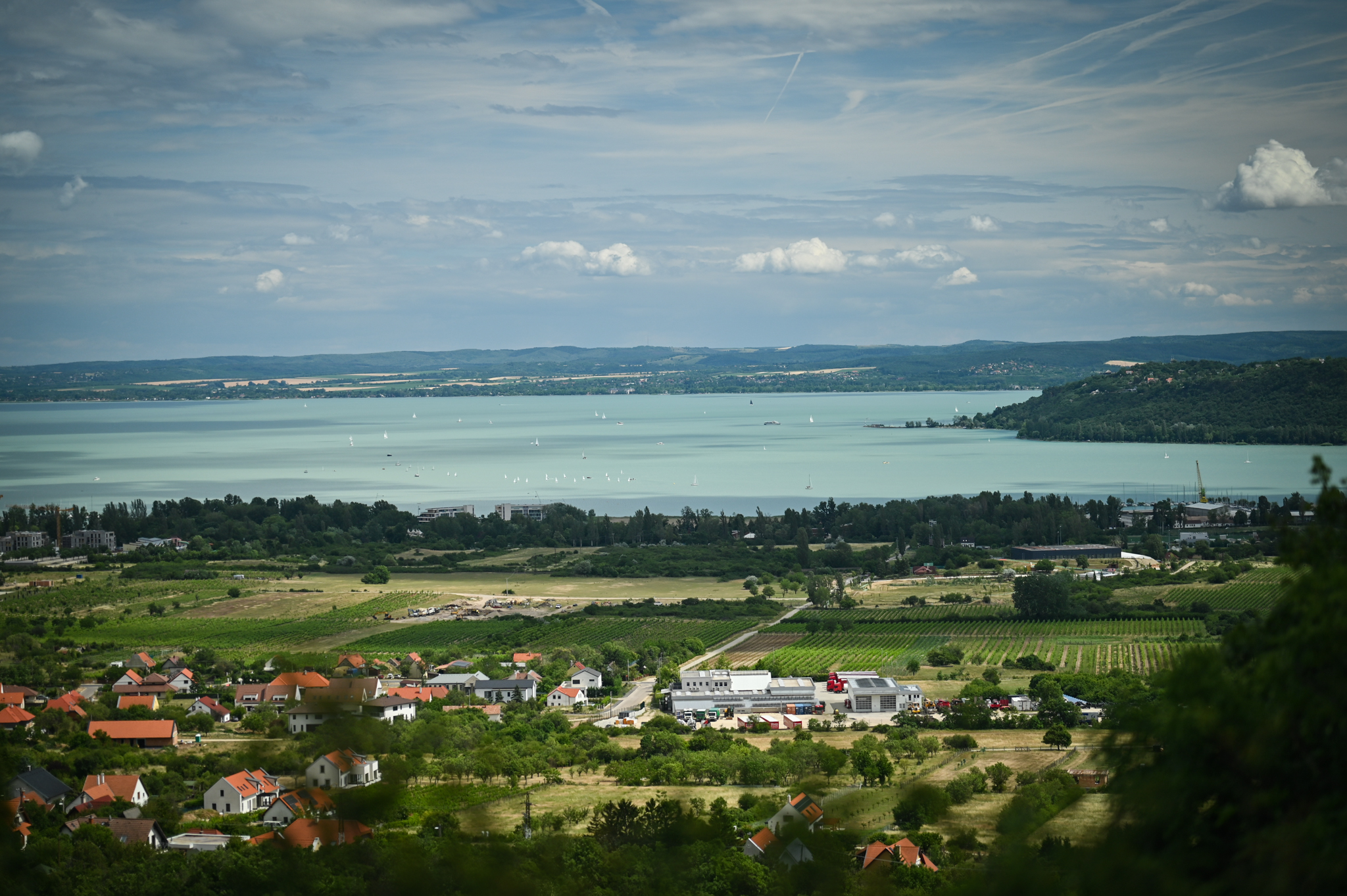 Alfáktól Omegáig Családi Piknik pillanatkép